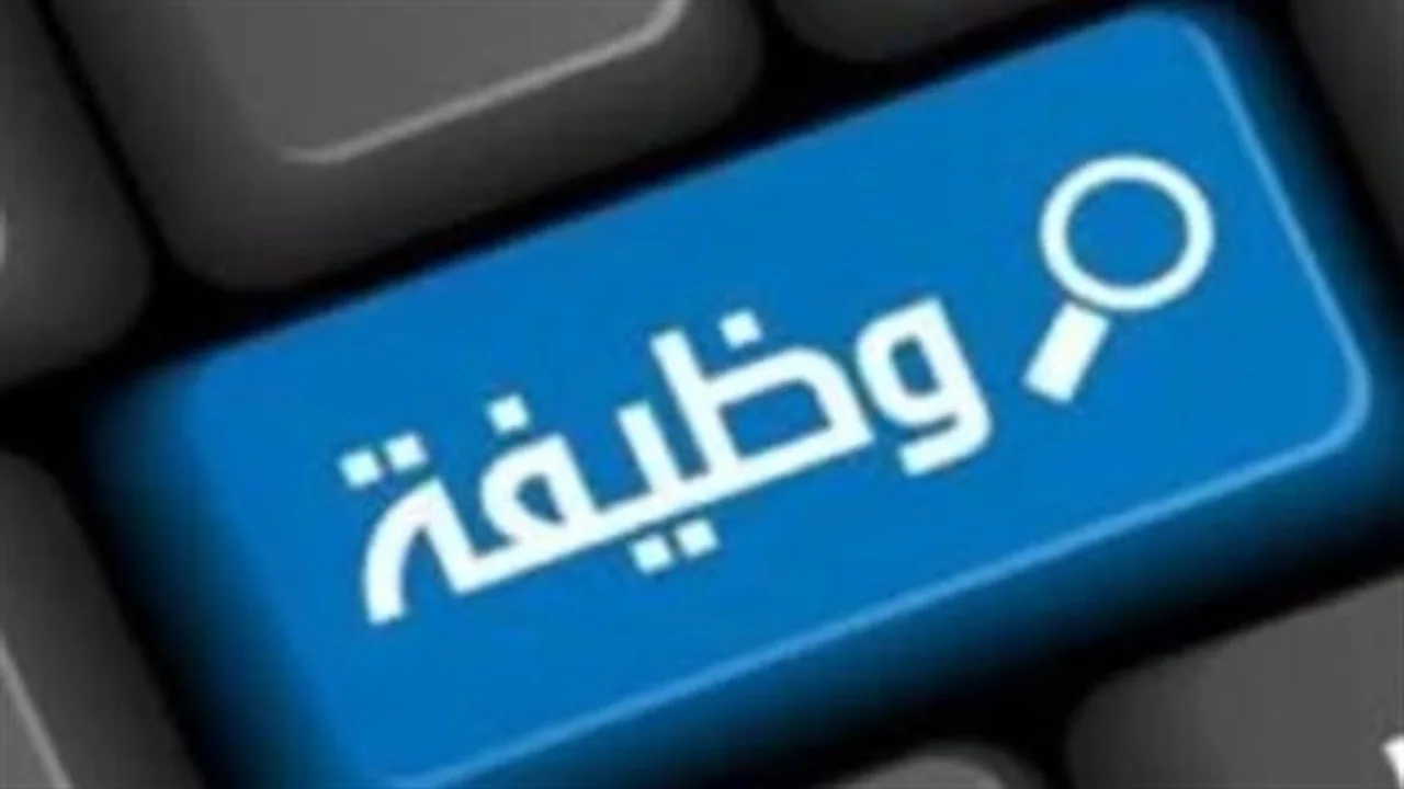 350 فرصة عمل في القاهرة.. تفاصيل وظائف وزارة العمل الجديدة للسائقين